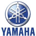 Yamaha Rotors