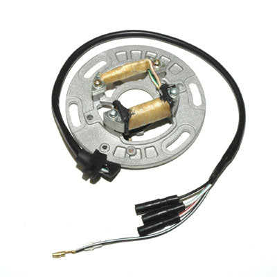 Sator KX250 Kawasaki 21003-1169 – Regulatorrectifier.com